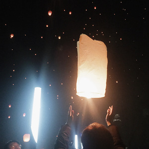 理想三旬（翻自 陈鸿宇）