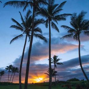 走.（Prod.by Scar Lit）