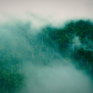 马上有钱(2026).wav