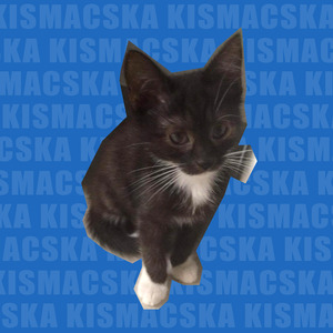 Kismacska