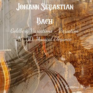 Sonic Serenity: Goldberg Variations (Variation No. 30)