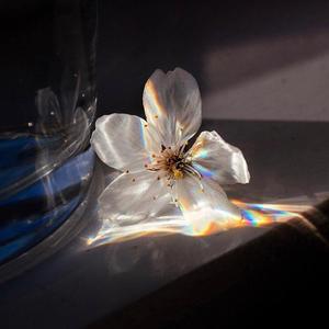 No Hopes-Changes-Tunes（remix）（城北 徐公 remix）