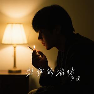 想你的滋味（伴奏）