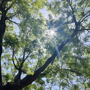 Running Up That Hill (0.85x)