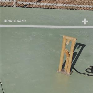 Deer Scare