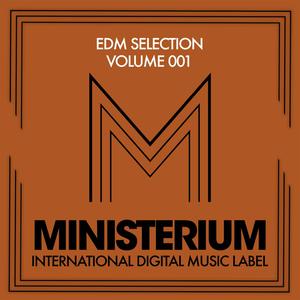 Who Is Ready To Jump (Original Mix)