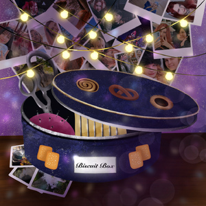 Biscuit Box