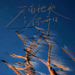 天南地北你开口