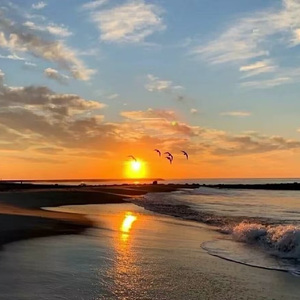 低空飞行（翻自 陈思维）