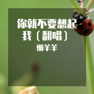 你就不要想起我