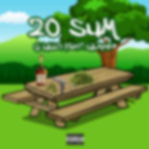 20 Sum