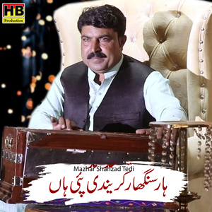 Har Singhar Karendi Pai Ha