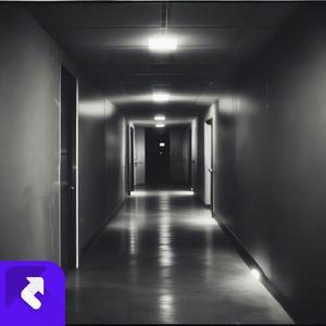 Voices from the Shadows