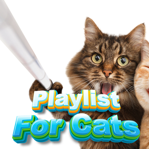 Anxiety Lullaby For Kitten