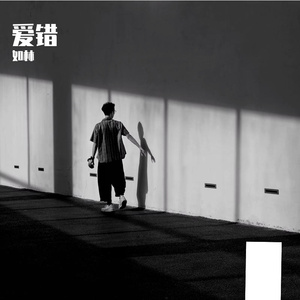 我从来没想过我会这样