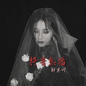 Morsmordre (抖音热播)