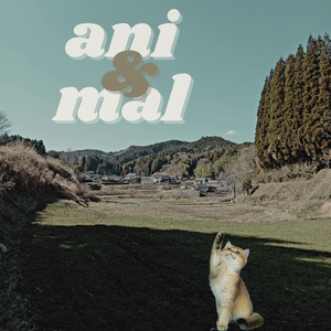 Anima! (동물!)