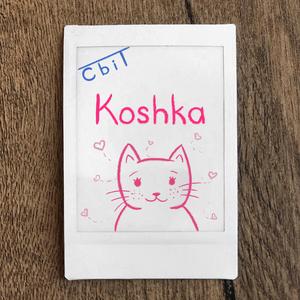 Koshka