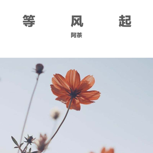 等风起