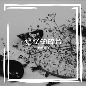 记忆的碎片 伴奏