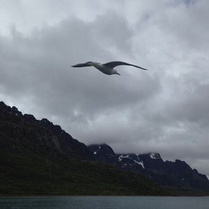 Vallankumouksen jälkeisenä aamuna