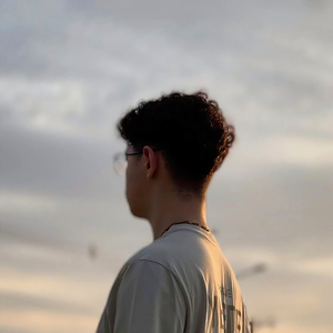 Antes que você me esqueça