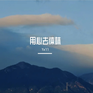 用心去体味