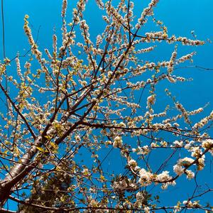 Numeroloji ile Evrene Mesaj Gönder: Uykunda Kilo Ver, Rahatla ve Kozmik Meditasyon Müziği ile Dönüşüm Sağla