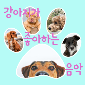 멀리까지 뛰어볼까