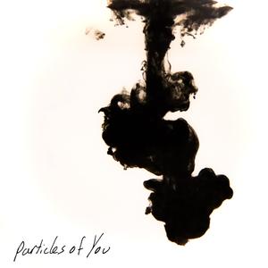 Particles of You