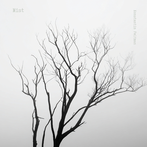 Mist
