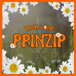 Prinzip