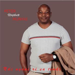 Ndi ngani ri sa tendi