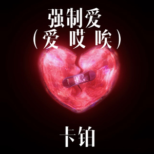 强制爱 (爱 哎 唉)