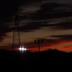 Follow the Mood to Love