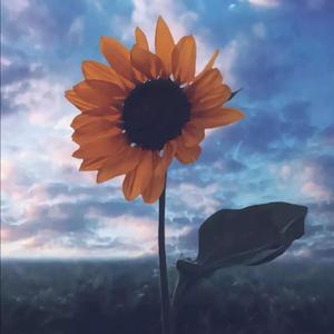 惊雷（翻自 皮卡丘多多）