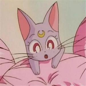 月光传说（cover 美少女战士op）