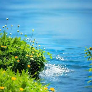 与美好的过往相拥