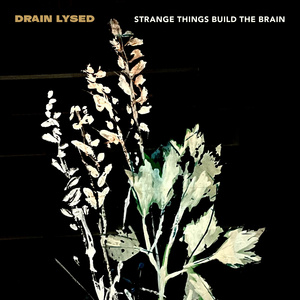 Strange Things Build The Brain