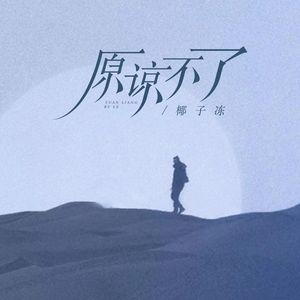 原谅不了（DJ版）