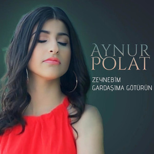 Zeynebim Gardaşıma Götürün
