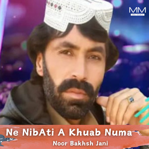 Ne NibAti A Khuab Numa