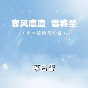 寒风凛凛雪将至 (真心败给不合适)
