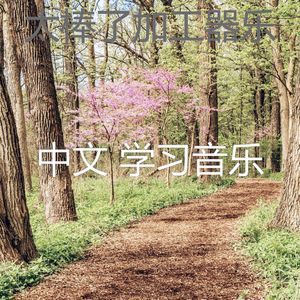 精彩正在学习环境