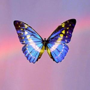 【FREE】“PUFF”(PROD.D.C.C)