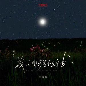 我的脚步追不上自由 (DJ黄周豪版)
