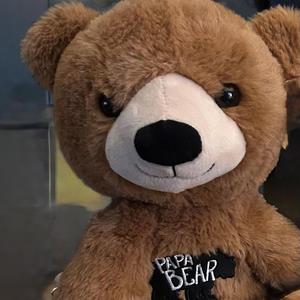 Teddy's Adventure
