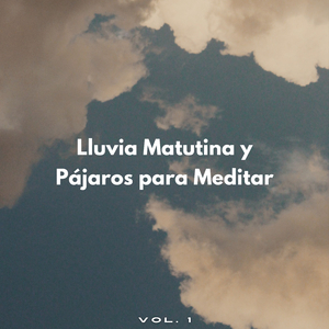 Ambiente De Lluvia Del Jardín Zen