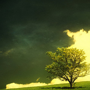 孩子开学了为什么我还不去找工作