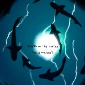 Sharks in the Water